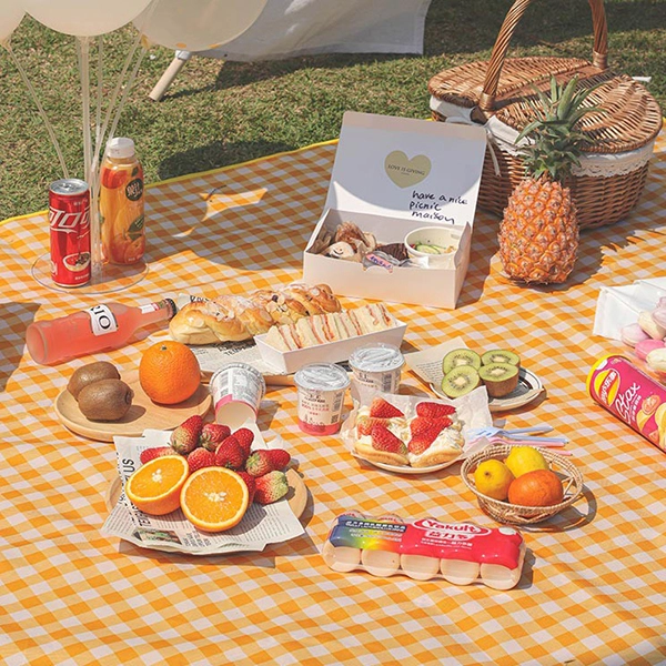 Thảm dã ngoại, bạt trải picnic họa tiết caro chống thấm nước gấp gọn tiện lợi K148